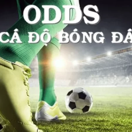 Cách soi Odds bóng đá tính trước tiền thưởng cho cược thủ